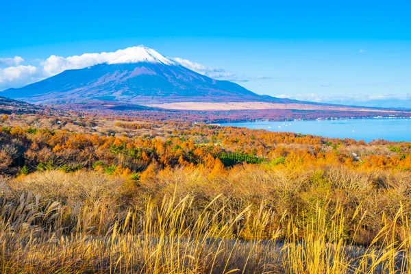 Красивый Пейзаж Горы Фудзи Яманакако Озера Яманака Осенью Японии — стоковое фото
