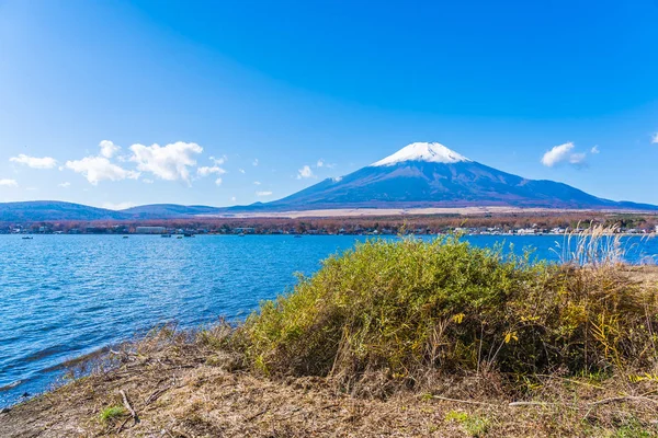 Hermoso Paisaje Montaña Fuji Con Cisne Blanco Alrededor Del Lago — Foto de Stock