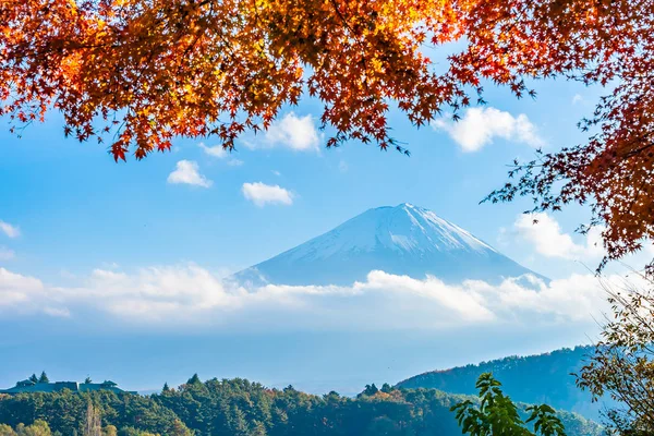 Güzel manzara dağ fuji göl Yamanashi Japonya akçaağaç ağaç yaprak ile
