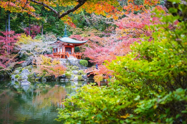 美丽的大国寺与五颜六色的树和叶子在秋天季节京都日本 — 图库照片