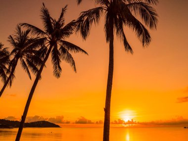 Güzel tropikal plaj deniz ve okyanus ile Hindistan cevizi hurma ağacı gündoğumu zaman seyahat ve tatil için