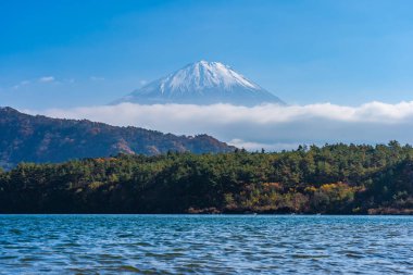 Güzel manzara dağ fuji göl sonbahar sezonu Yamanashi Japonya akçaağaç ağaç yaprak ile