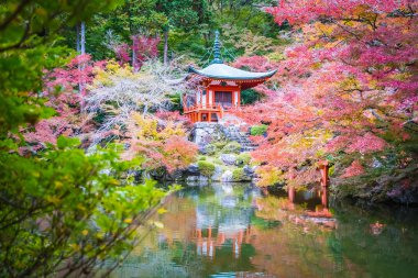 Renkli ağaç ve yaprak sonbahar sezonu Kyoto Japonya ile güzel Daigoji Tapınağı