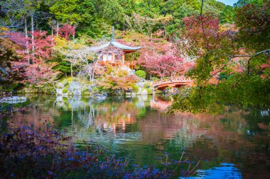 Renkli ağaç ve yaprak sonbahar sezonu Kyoto Japonya ile güzel Daigoji Tapınağı