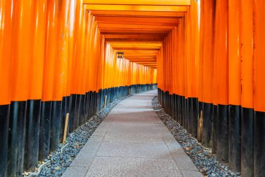 Güzel fushimi Inari tapınak tapınak Kyoto Japonya'da