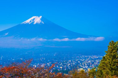 Güzel manzara dağ fuji akçaağaç yaprağı ağaç beyaz bulut ve Yamanashi Japonya sonbahar sezonu mavi gökyüzü ile çevresinde