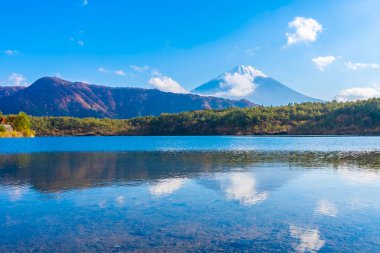 Güzel manzara dağ fuji göl Yamanashi Japonya akçaağaç ağaç yaprak ile