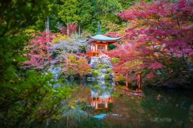 Renkli ağaç ve yaprak sonbahar sezonu Kyoto Japonya ile güzel Daigoji Tapınağı