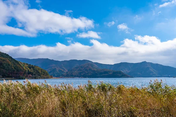 Krásná Krajina Kolem Jezera Kawaguchiko Podzimní Mimo Yamanashi Japonsko — Stock fotografie