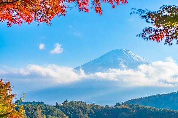 Beautiful Landscape Mountain Fuji Maple Leaf Tree Lake Yamanashi Japan — Stock Photo, Image