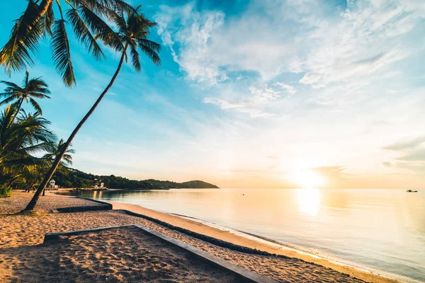 해변과 코코넛 야자수와 바다에 시간에 — 스톡 사진