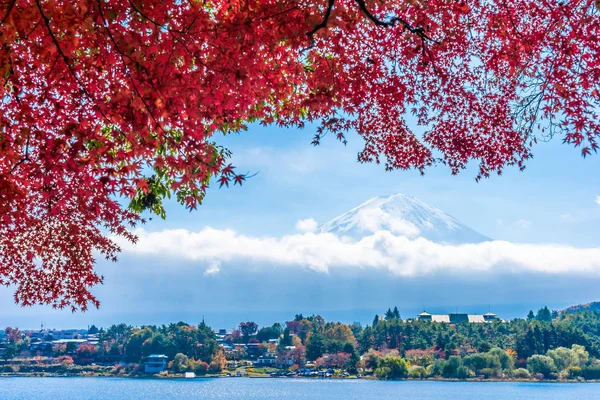 Hegyi Fuji Maple Leaf Őszi Szezonban Körül Gyönyörű Táj — Stock Fotó