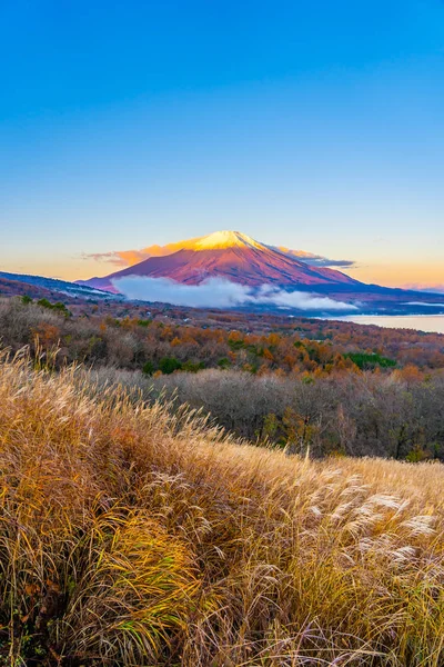 Bela Paisagem Montanha Fuji Yamanakako Lago Yamanaka Temporada Outono Japão — Fotografia de Stock