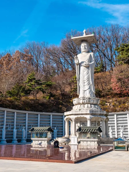 Krásný Buddhismus Socha Bongeunsa Temple City Soul Jižní Korea — Stock fotografie