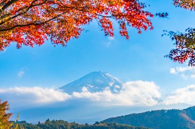 Güzel manzara dağ fuji göl Yamanashi Japonya akçaağaç ağaç yaprak ile