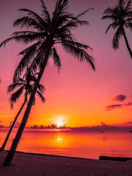 Hermosa Playa Tropical Mar Océano Con Palmera Coco Amanecer Para —  Fotos de Stock