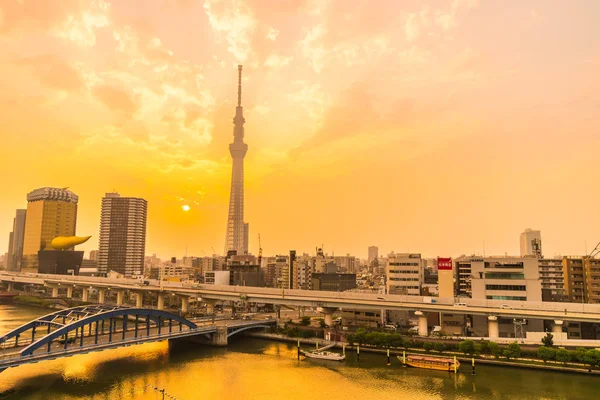 Beautiful Architecture Building Tokyo City Tokyo Sky Tree Sunrise Japan — Stock Photo, Image