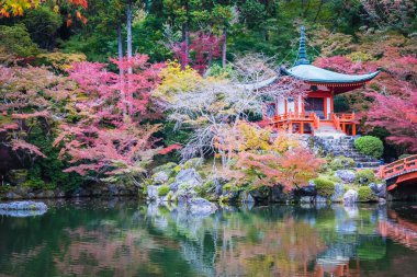 Renkli ağaç ve yaprak sonbahar sezonu Kyoto Japonya ile güzel Daigoji Tapınağı