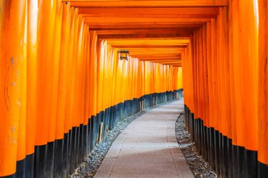 Güzel fushimi Inari tapınak tapınak Kyoto Japonya'da