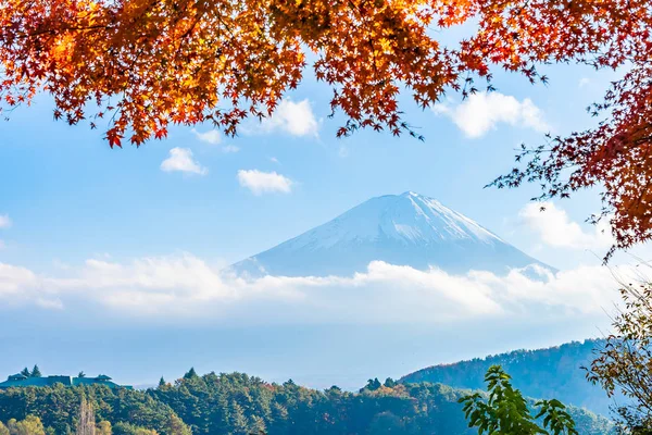 Beautiful Landscape Mountain Fuji Maple Leaf Tree Lake Yamanashi Japan — Stock Photo, Image