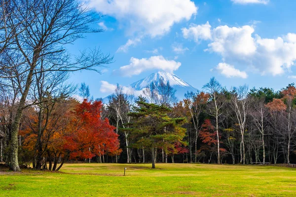 秋天季节在日本与枫叶树在山富士美丽的风景 — 图库照片