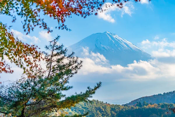 Prachtige Landschap Van Berg Fuji Met Esdoorn Blad Rond Lake — Stockfoto