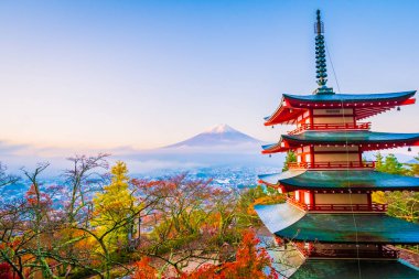 Dağ fuji chureito pagoda akçaağaç ağaç yaprak sonbahar sezonu Yamanashi Japonya çevresinde ile güzel manzara