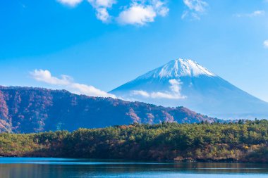 Güzel manzara dağ fuji göl Yamanashi Japonya akçaağaç ağaç yaprak ile