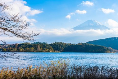 Güzel manzara dağ fuji göl Yamanashi Japonya akçaağaç ağaç yaprak ile