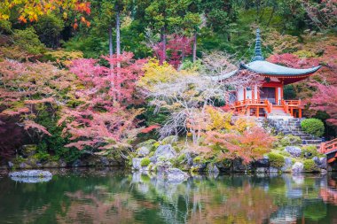 Renkli ağaç ve yaprak sonbahar sezonu Kyoto Japonya ile güzel Daigoji Tapınağı