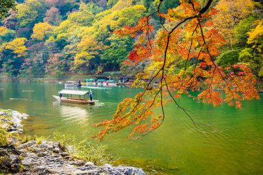 Akçaağaç ağaç yaprak ve sonbahar sezonu Kyoto Japonya göl etrafında tekne ile güzel Arashiyama Nehri