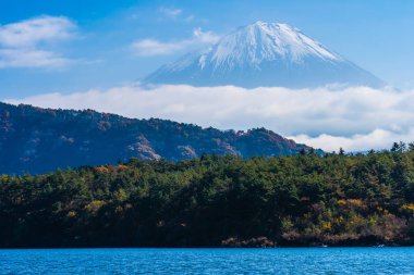 Güzel manzara dağ fuji göl sonbahar sezonu Japonya akçaağaç ağaç yaprak ile