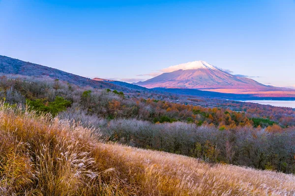 Bela Paisagem Montanha Fuji Yamanakako Lago Yamanaka Temporada Outono Japão — Fotografia de Stock