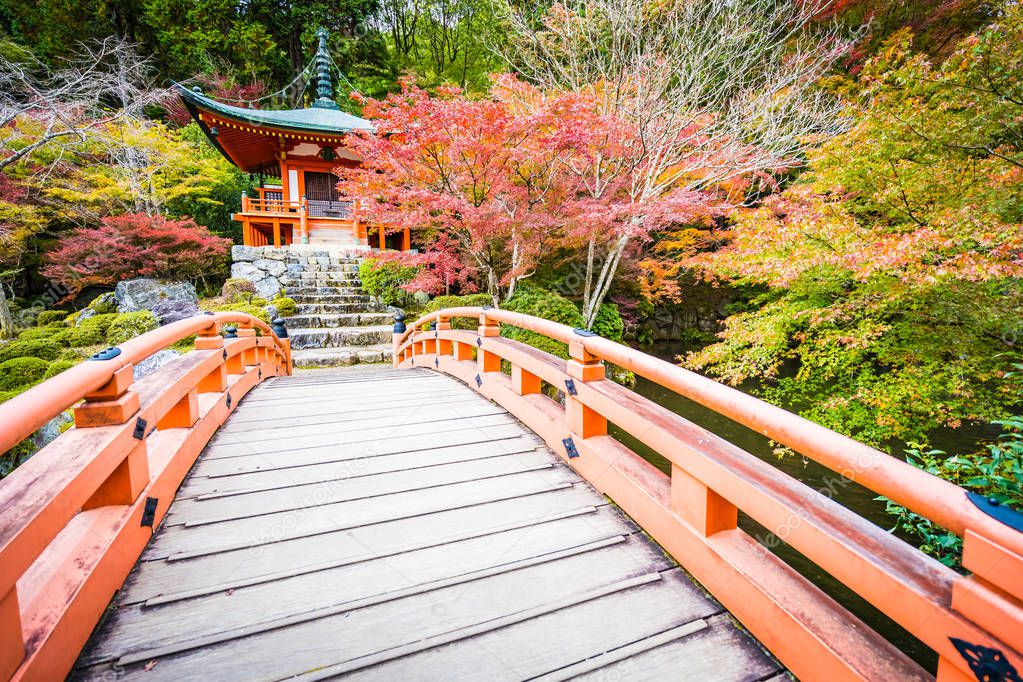 Beautiful Daigoji temple with colorful tree and leaf in autumn season Kyoto Japan