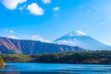 Güzel manzara dağ fuji göl Yamanashi Japonya akçaağaç ağaç yaprak ile