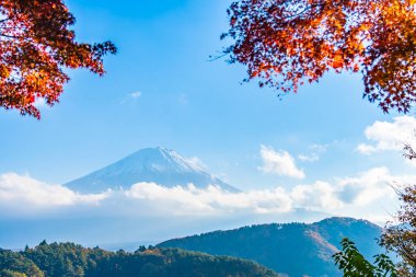 Güzel manzara dağ fuji göl Yamanashi Japonya akçaağaç ağaç yaprak ile