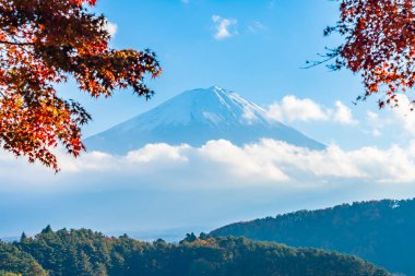 Güzel manzara dağ fuji göl Yamanashi Japonya akçaağaç ağaç yaprak ile