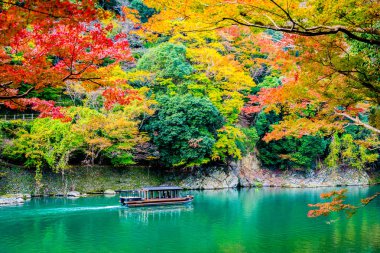Akçaağaç ağaç yaprak ve sonbahar sezonu Kyoto Japonya göl etrafında tekne ile güzel Arashiyama Nehri
