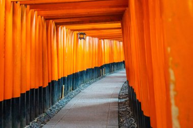 Güzel fushimi Inari tapınak tapınak Kyoto Japonya'da