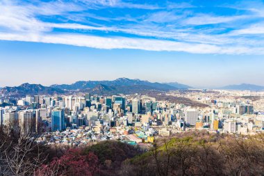 Güzel manzara ve mimari ve Seoul city Güney Kore bina cityscape