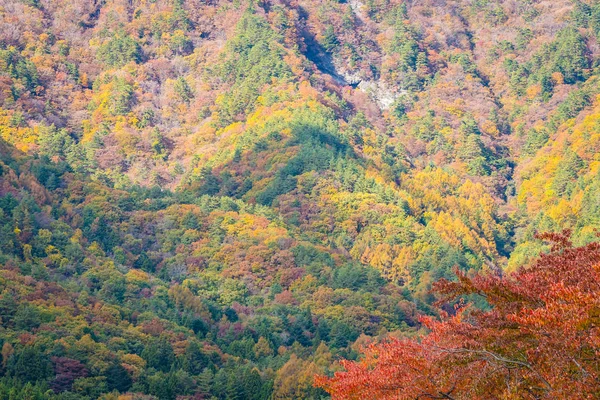 Dağın Etrafından Akçaağaç Diğer Ağaç Sonbahar Sezonu Güzel Manzara — Stok fotoğraf