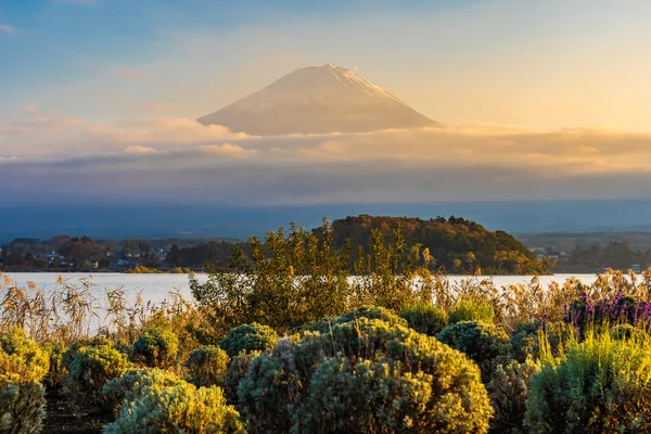 Dağ fuji akçaağaç yaprağı ağaç göl günbatımı zaman Yamanashi Japonya sonbahar sezonu ile güzel manzara