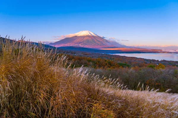 Bela Paisagem Montanha Fuji Yamanakako Lago Yamanaka Temporada Outono Japão — Fotografia de Stock