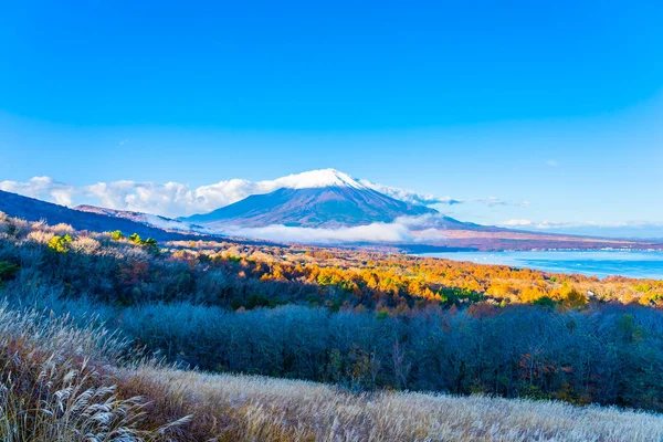 Vackra Landskap Fuji Berg Yamanakako Eller Yamanaka Lake Höstsäsongen Japan — Stockfoto