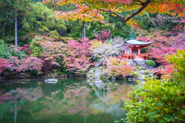 美丽的大国寺与五颜六色的树和叶子在秋天季节京都日本 — 图库照片