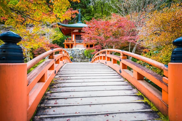 Hermoso Templo Daigoji Con Coloridos Árboles Hojas Temporada Otoño Kyoto — Foto de Stock