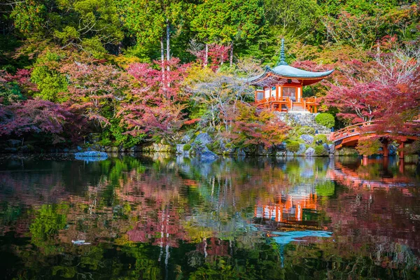 美丽的大国寺与五颜六色的树和叶子在秋天季节京都日本 — 图库照片