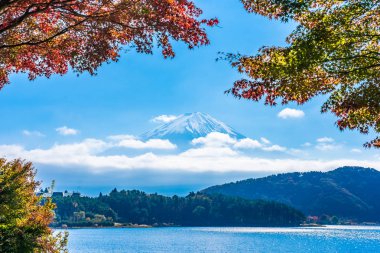 Dağ fuji akçaağaç yaprağı ağaç göl sonbahar sezonu ile güzel manzara