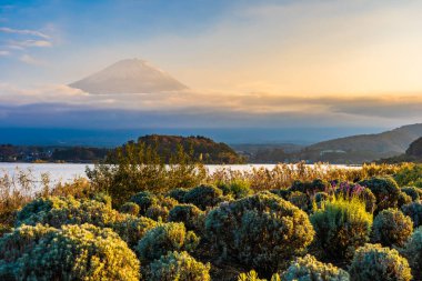 Dağ fuji akçaağaç yaprağı ağaç göl günbatımı zaman Yamanashi Japonya sonbahar sezonu ile güzel manzara