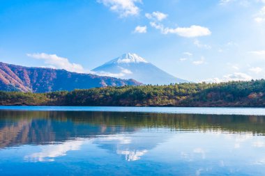 Güzel manzara dağ fuji göl Yamanashi Japonya akçaağaç ağaç yaprak ile